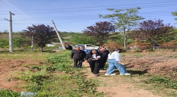 乡村振兴工作动态(第168期)